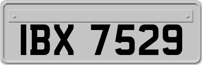IBX7529