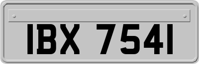 IBX7541
