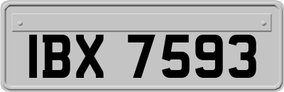 IBX7593