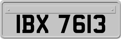 IBX7613