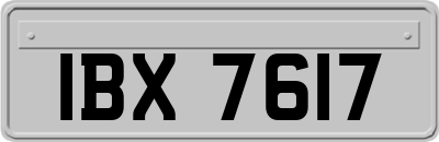 IBX7617