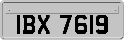 IBX7619