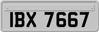 IBX7667