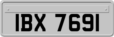 IBX7691