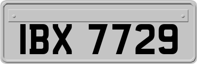 IBX7729