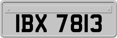 IBX7813
