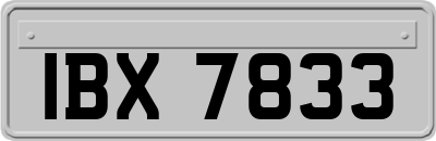 IBX7833