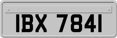 IBX7841