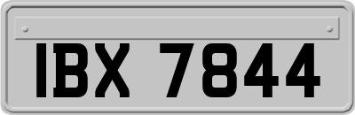 IBX7844