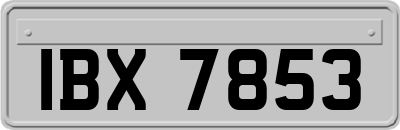 IBX7853
