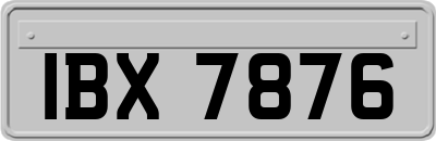 IBX7876