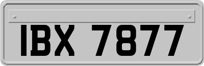 IBX7877