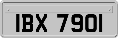 IBX7901