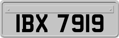 IBX7919