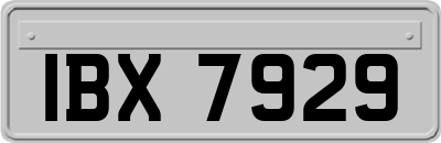 IBX7929