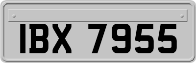 IBX7955