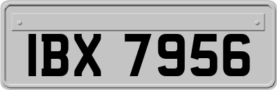 IBX7956