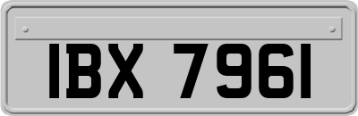 IBX7961