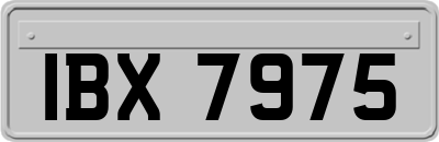 IBX7975