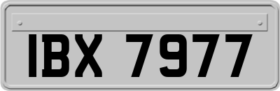 IBX7977
