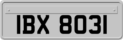 IBX8031