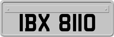 IBX8110