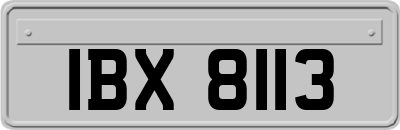 IBX8113