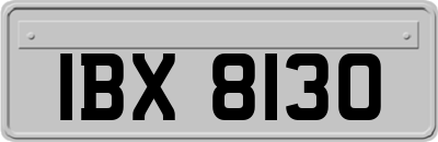 IBX8130
