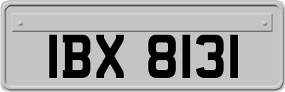 IBX8131