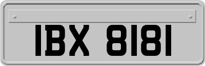 IBX8181