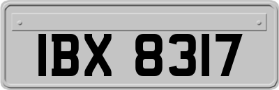 IBX8317
