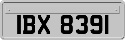 IBX8391