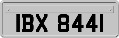 IBX8441