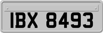 IBX8493