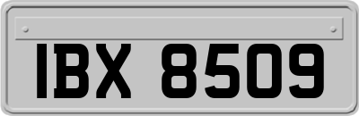 IBX8509