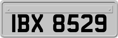 IBX8529