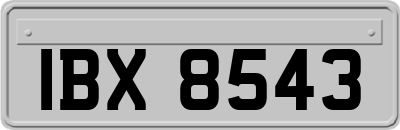 IBX8543
