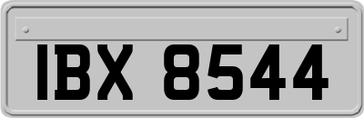 IBX8544