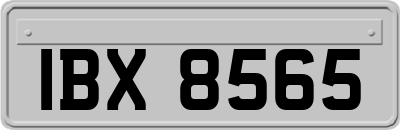 IBX8565