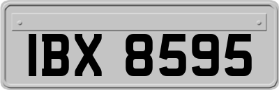 IBX8595