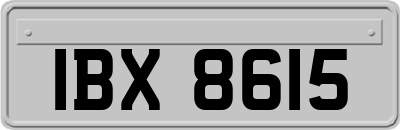 IBX8615