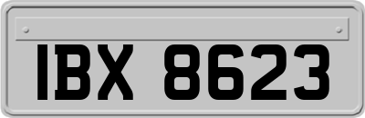 IBX8623