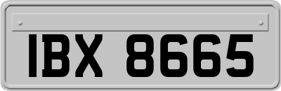 IBX8665