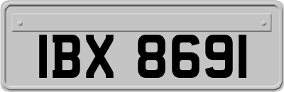 IBX8691