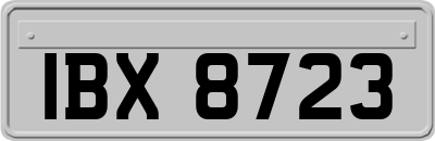 IBX8723