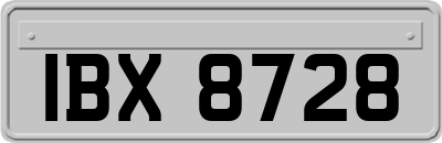 IBX8728
