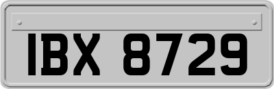 IBX8729