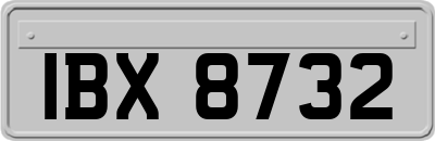 IBX8732