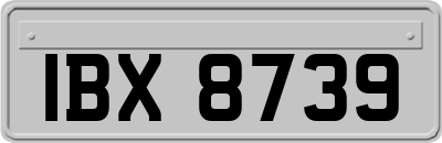 IBX8739