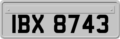 IBX8743